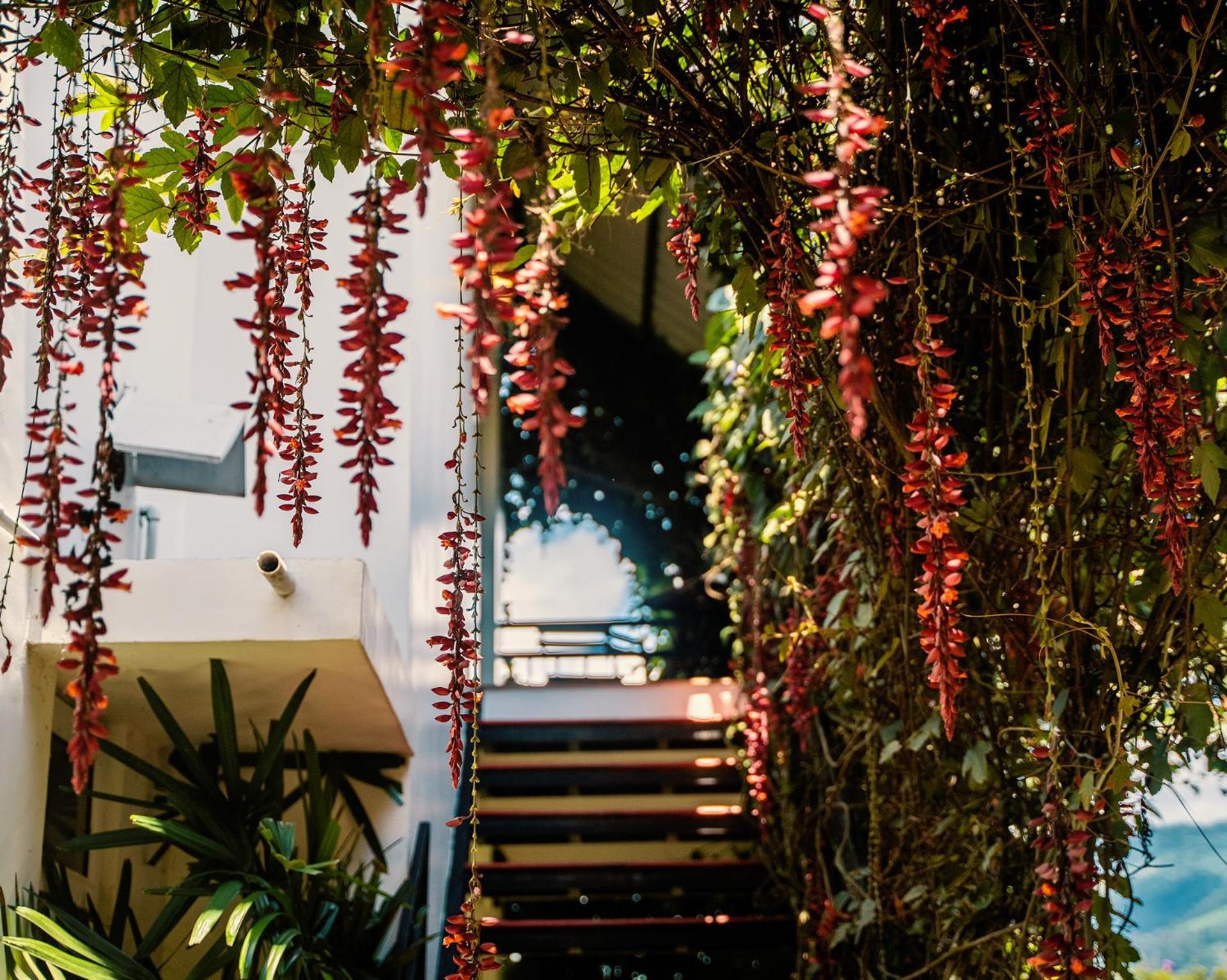 The Leaf Munnar Hotel Exterior photo